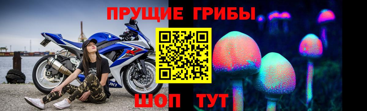 Псилоцибиновые грибы мицелий Сальск