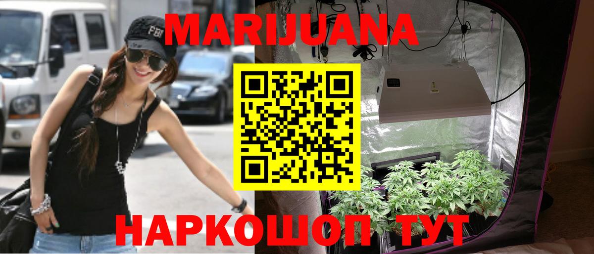 Марихуана план  МАРИХУАНА Bruce Banner  Сальск  Шишки марихуана марихуана  Вход с VPN 